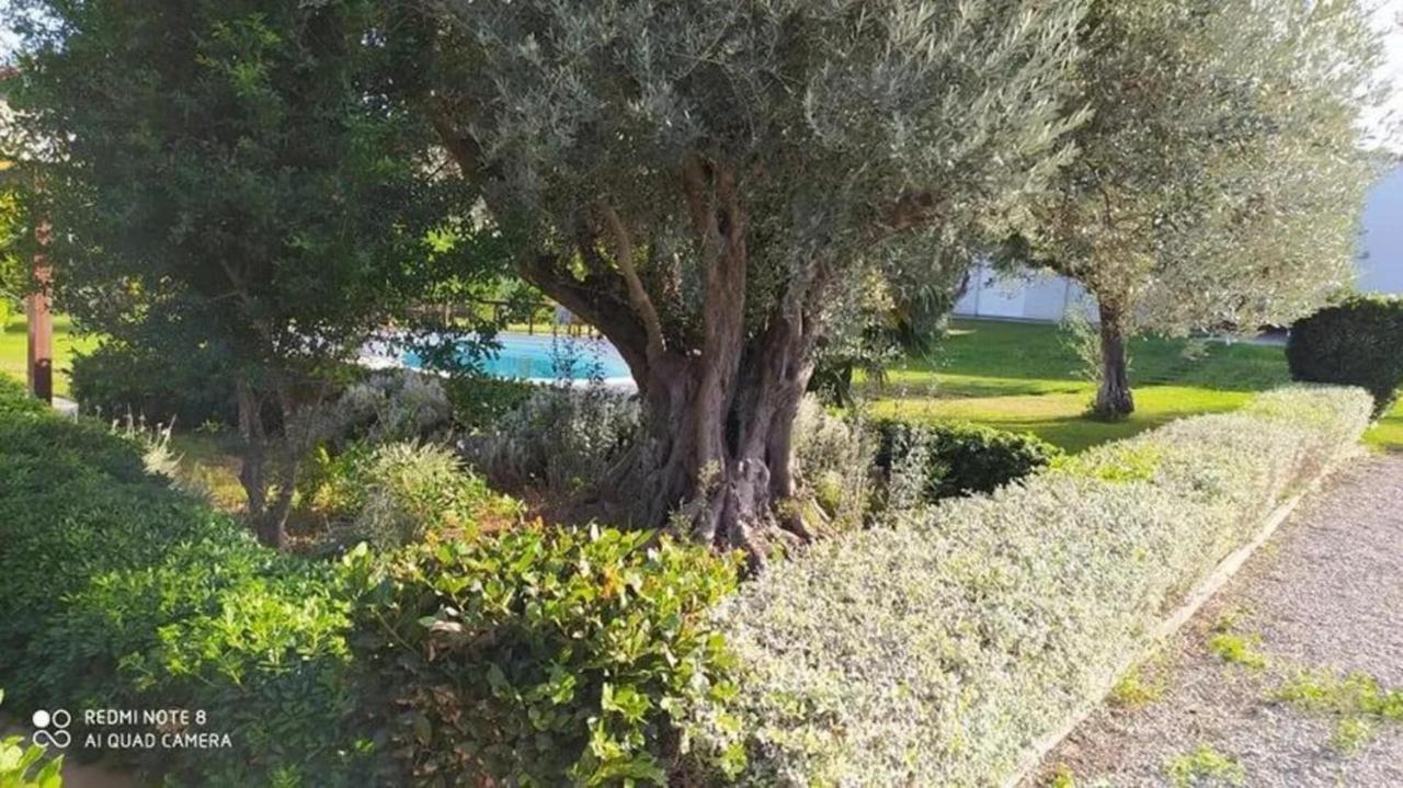 Luxurious 6 Bedroom Villa In A Great Location Chalkida Bagian luar foto