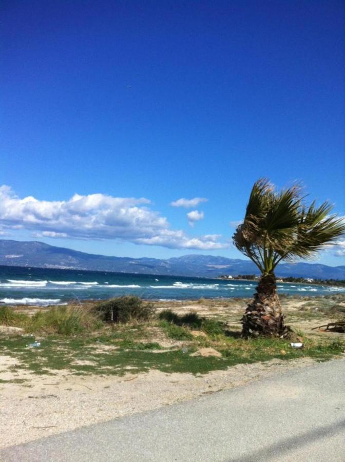 Luxurious 6 Bedroom Villa In A Great Location Chalkida Bagian luar foto
