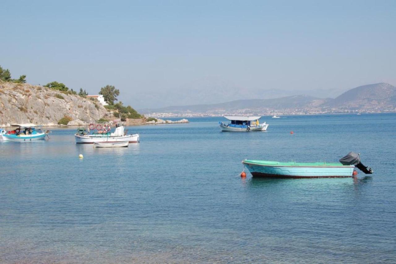 Luxurious 6 Bedroom Villa In A Great Location Chalkida Bagian luar foto